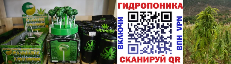 OMG маркетплейс  нарко площадка наркотические препараты  Canna-Cookies конопля  Новодвинск 