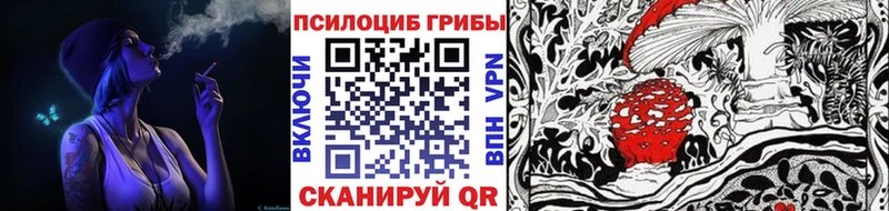 Галлюциногенные грибы Cubensis  Новодвинск 
