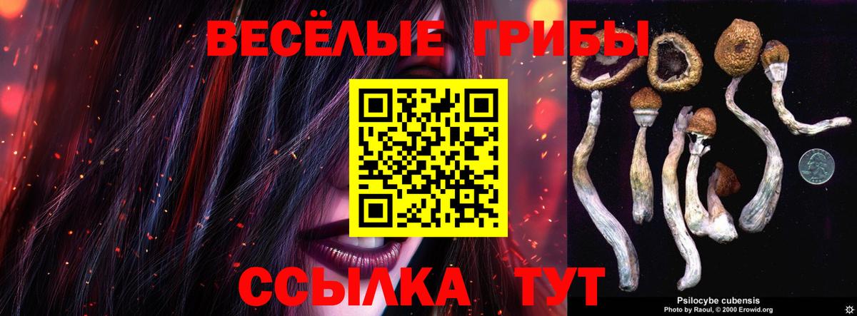Галлюциногенные грибы Psilocybe  Вход с VPN  Новодвинск 